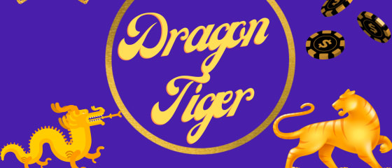 Dragon or Tiger - Cách chơi Dragon Tiger của Playtech