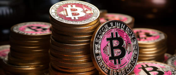 Hướng dẫn cho người mới bắt đầu chơi tại Sòng bạc trực tiếp Bitcoin 2024
